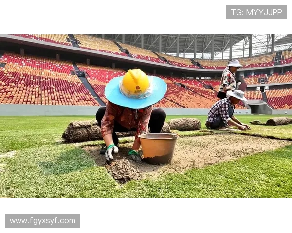 武汉篮球队奋勇拼搏世界杯预选赛的辉煌历程与未来展望